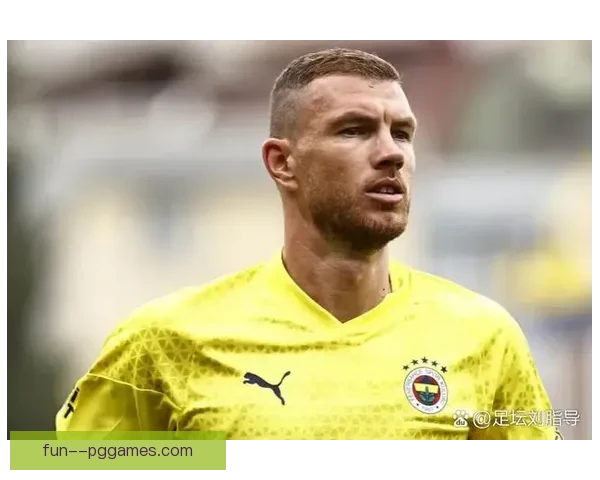 费内巴切免签波黑锋线老将哲科加盟球队震撼球迷